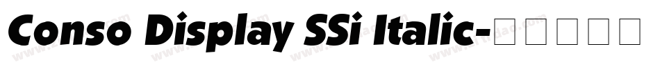 Conso Display SSi Italic字体转换
